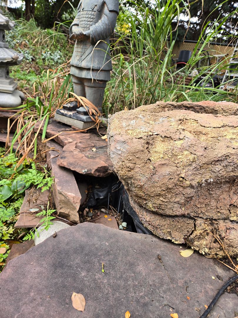 tan black  Shirt Plaid with stars