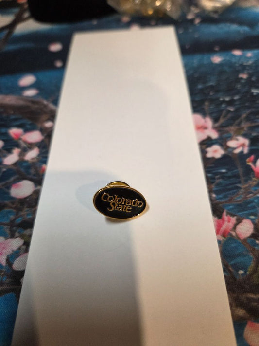 Colorado State Pin