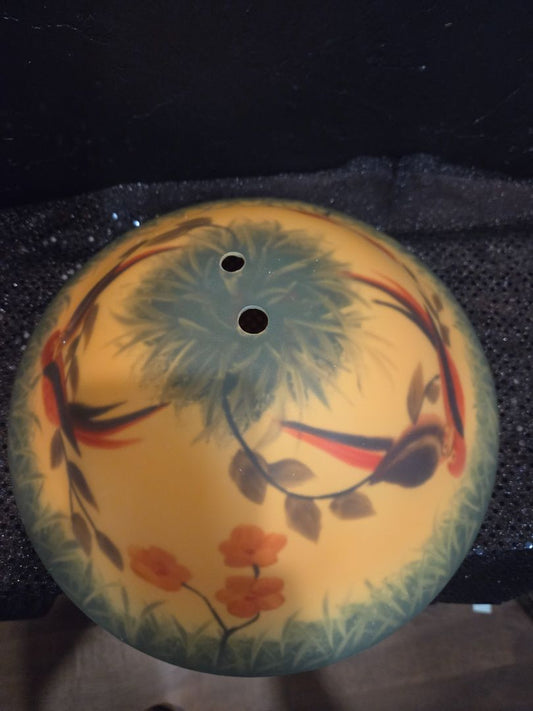 Fanimation Parrot Lamp shade