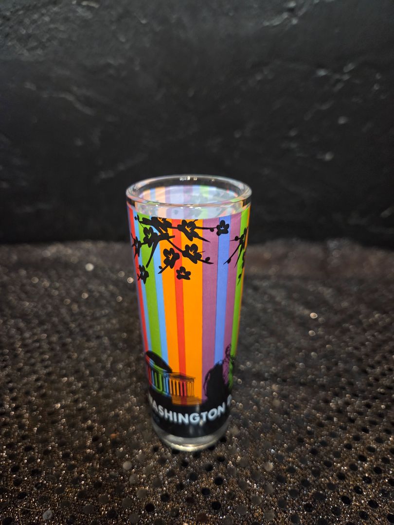 Washington DC Souvenir shot glass