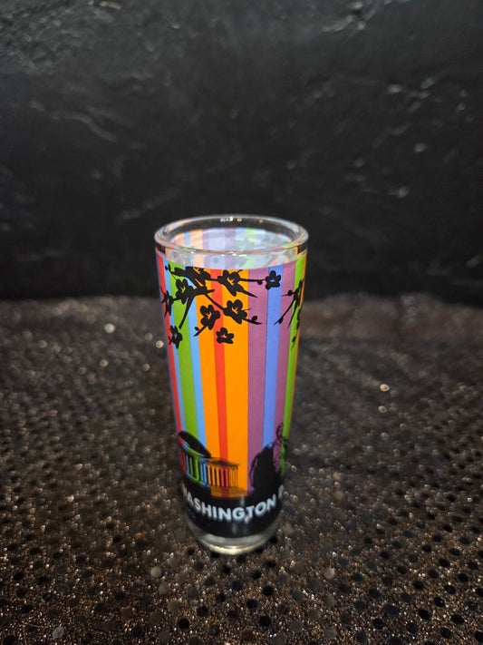 Washington DC Souvenir shot glass