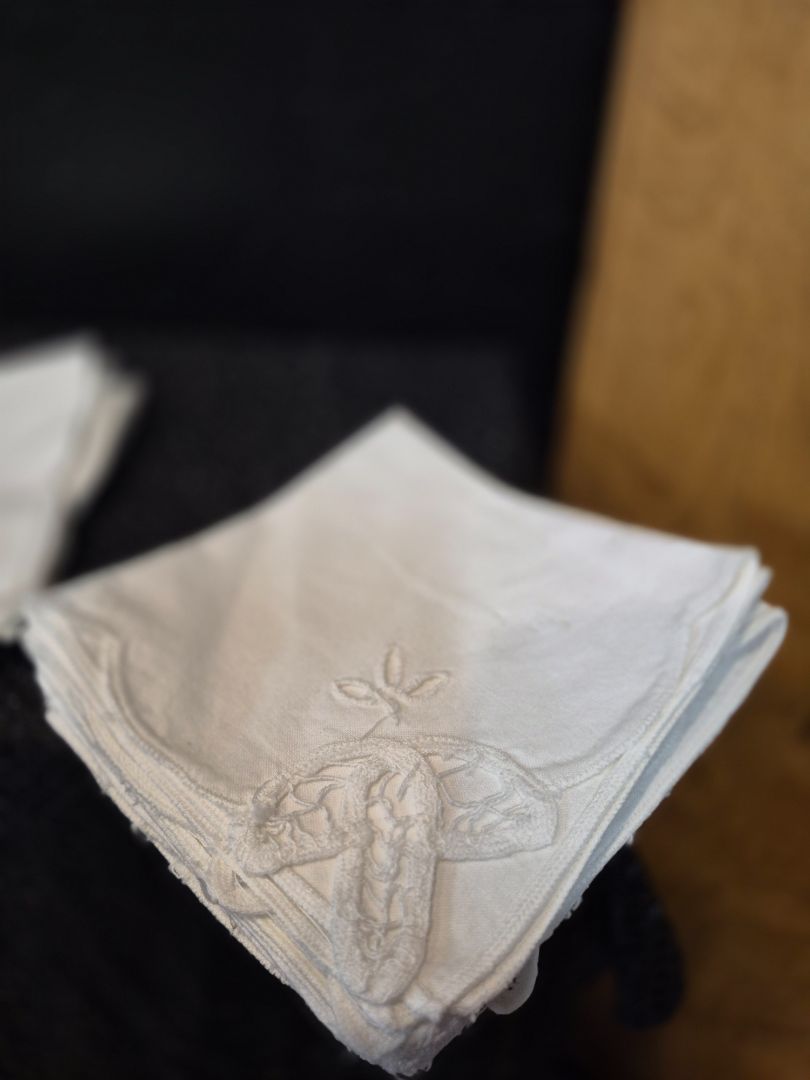 11 White Cloth Napkins Small