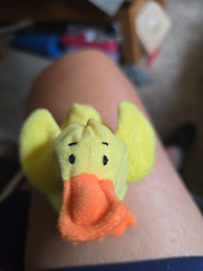 Teenie Beanie Babies