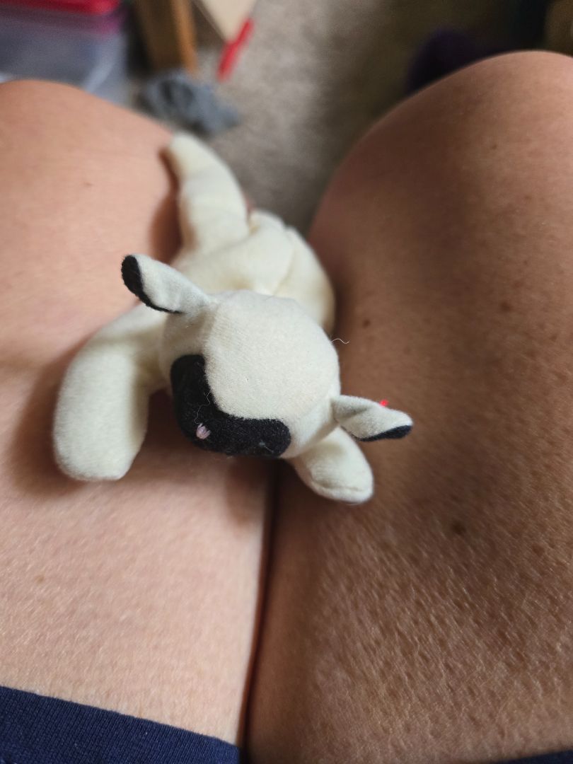 Teenie Beanie Babies