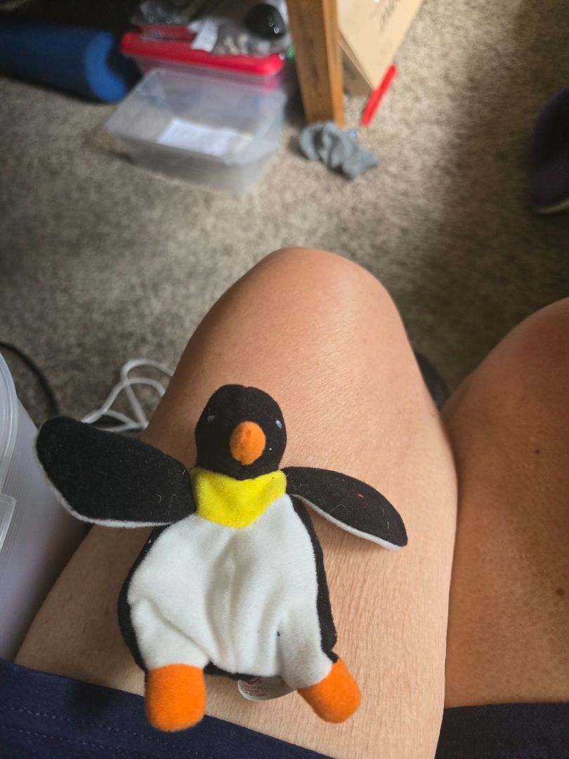 Teenie Beanie Babies