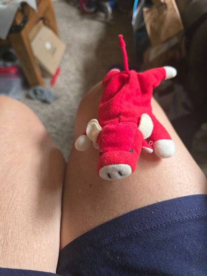 Teenie Beanie Babies
