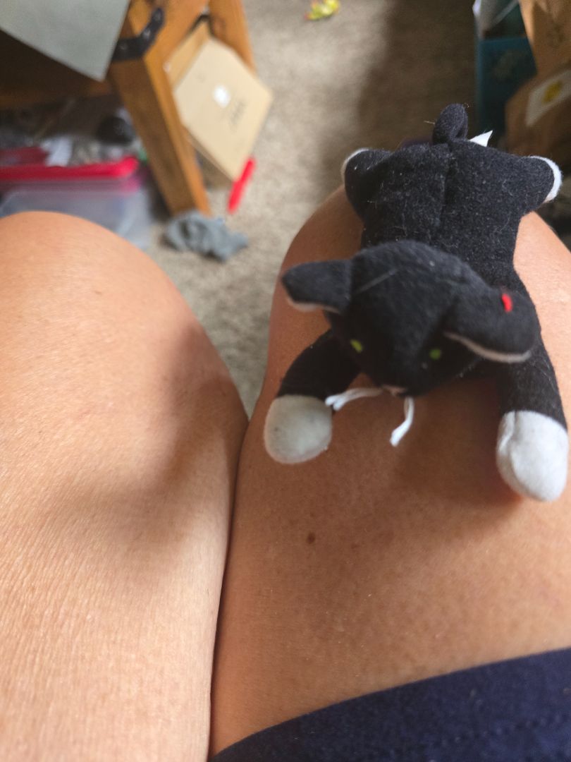 Teenie Beanie Babies