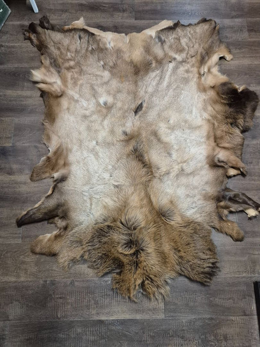 Elk Hide (as is holes for when it was shot)