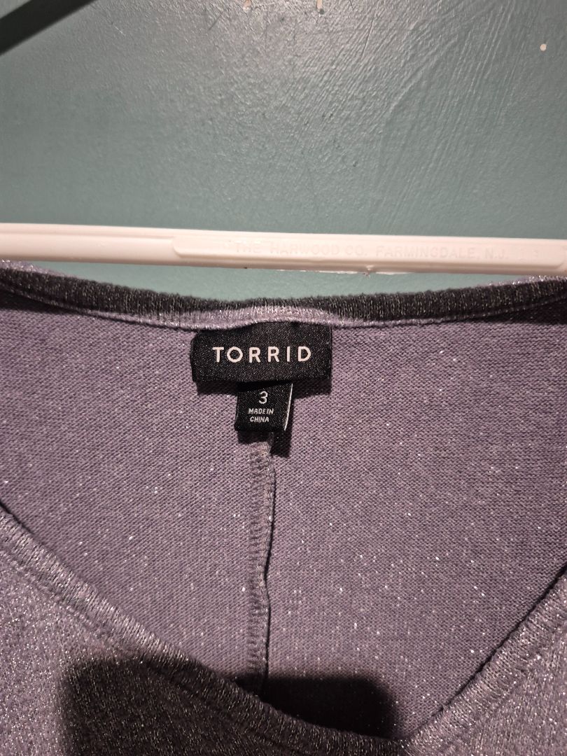 Torrid 3 Short Sleeve Silver Top