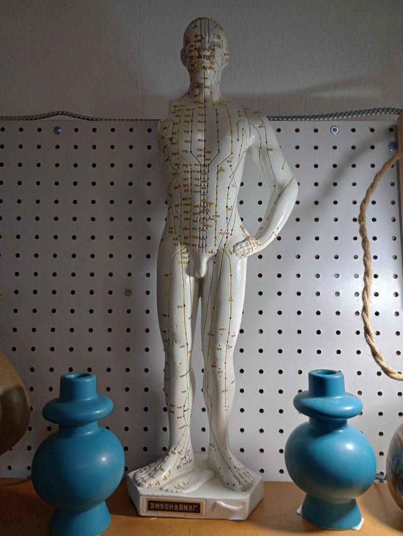 Acupuncture Male model w/damage