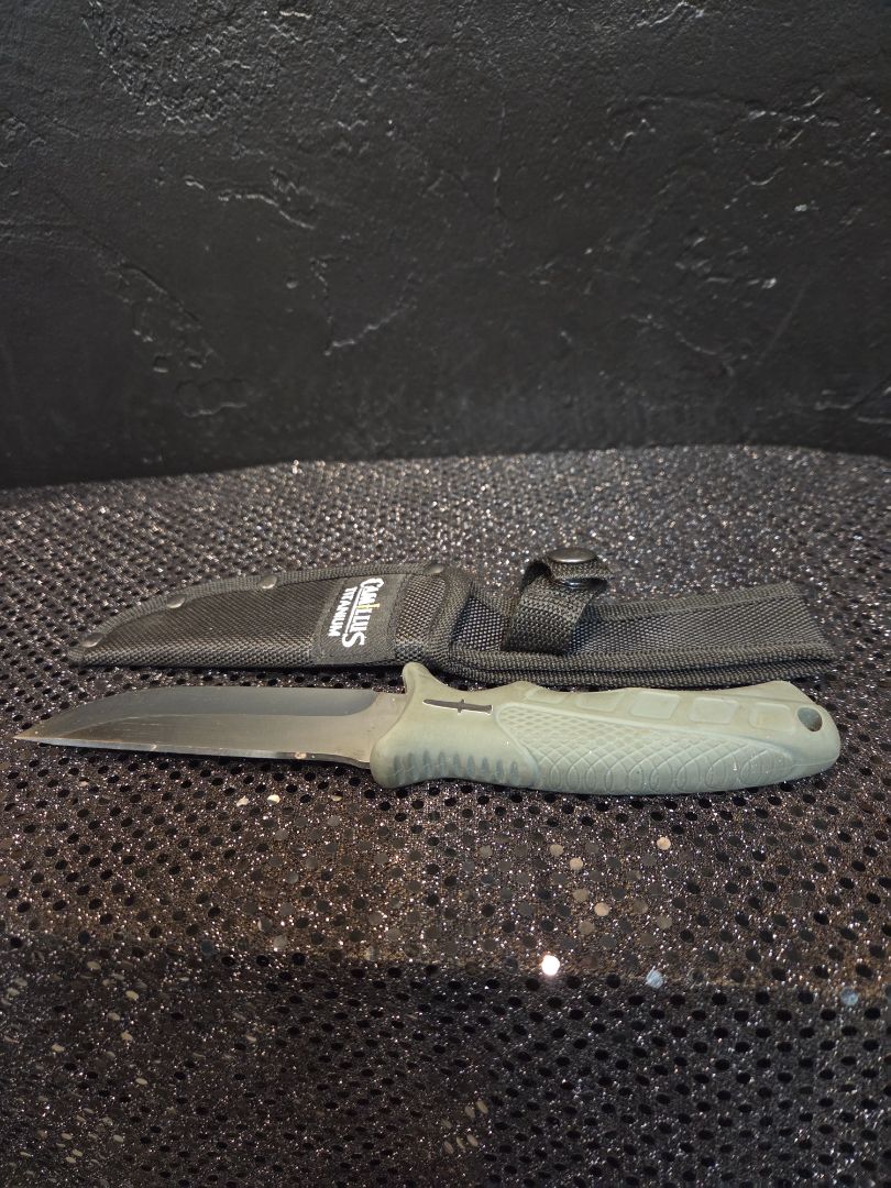 Camillus 9.5 Titanium Bonded Drop Point Hunter Fixed Blade Knife w/ Sheath