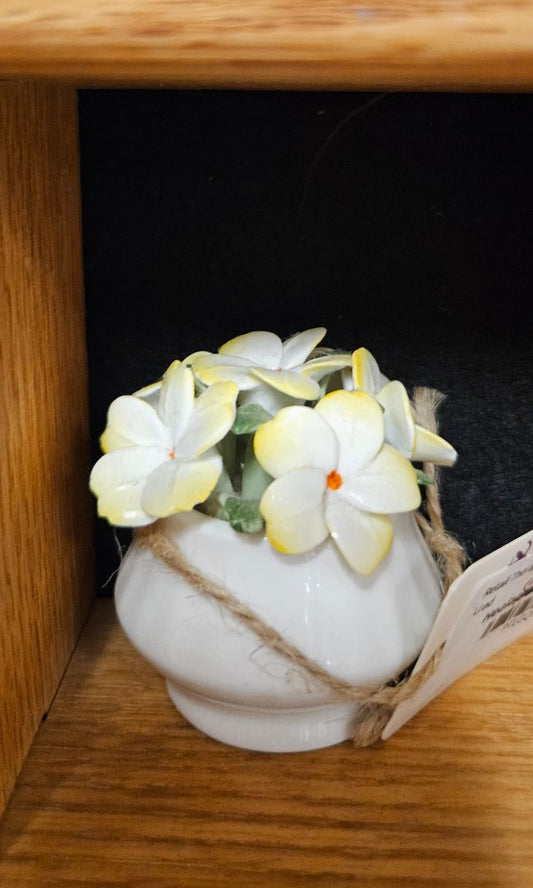 Healaport February Birthday blooms LR