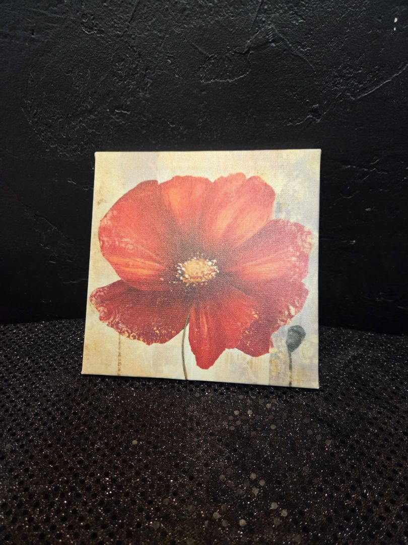 Small Poppy Canvas Picture