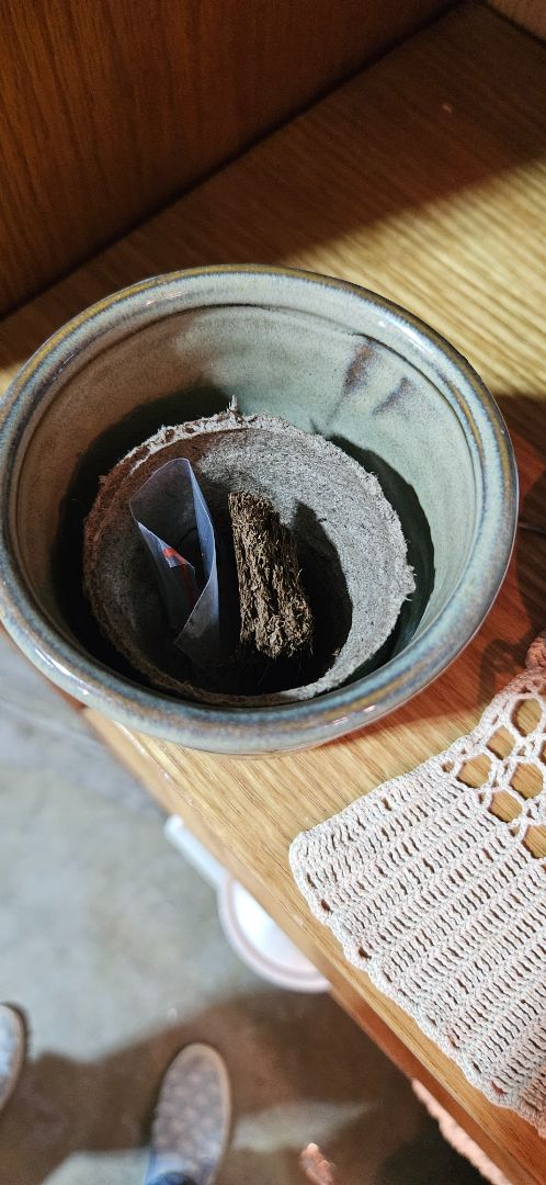 planter with herb kit