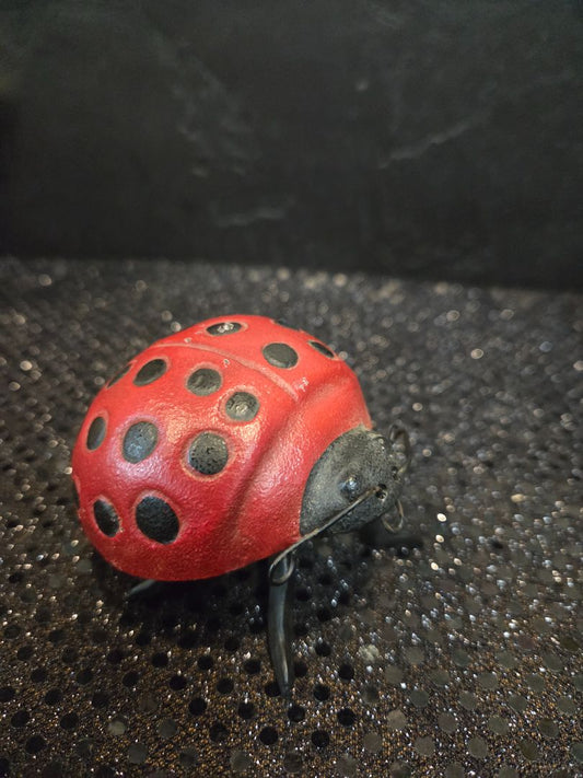 Vintage Cast Iron Lady Bug Bobble Figurine