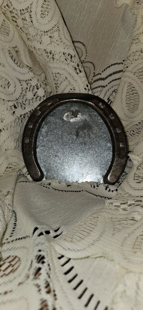 Horseshoe picture frame