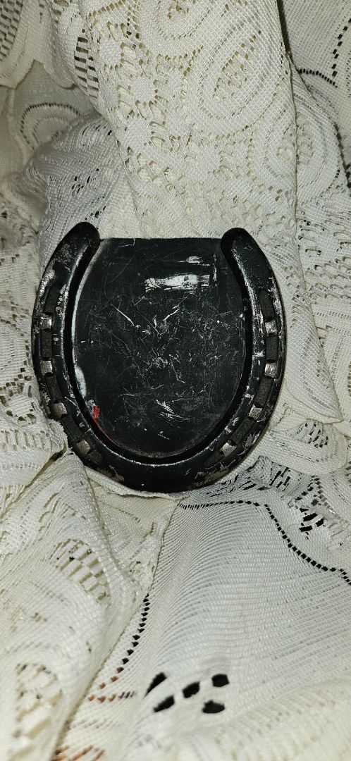 Horseshoe picture frame