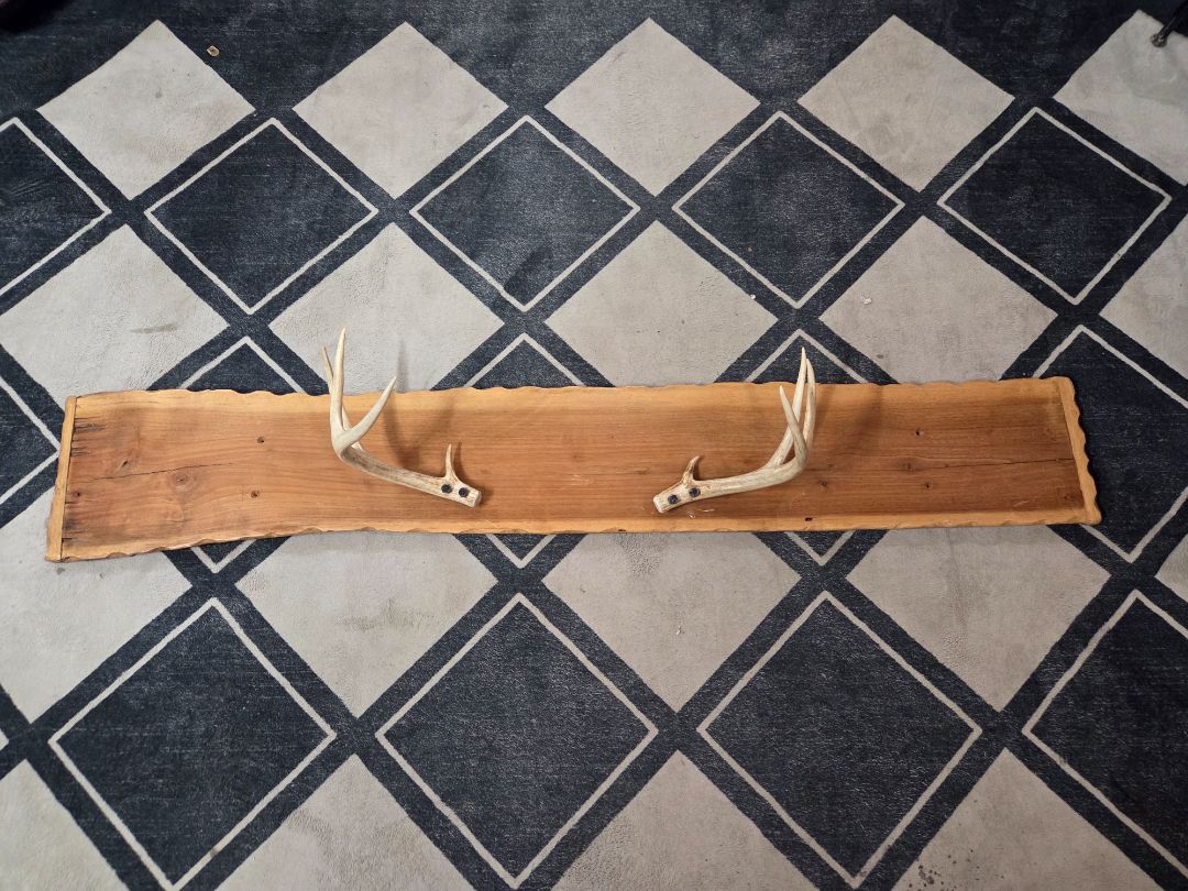 Deer Antler Coat Rack