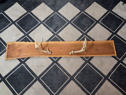 Deer Antler Coat Rack