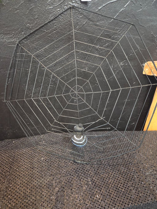 Spider Web with Spider