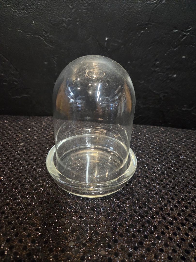 Vintage Glass Dome Display