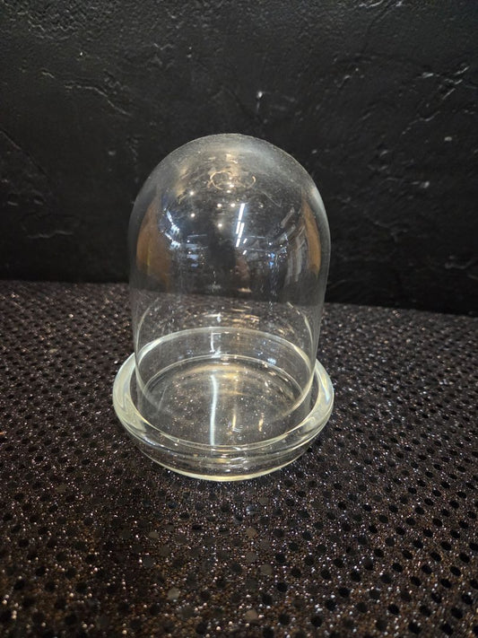 Vintage Glass Dome Display