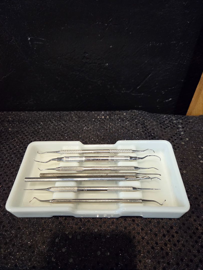 American Eagle Dental Instruments/American Cabinet Dental Tray
