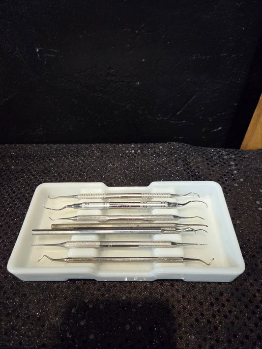 American Eagle Dental Instruments/American Cabinet Dental Tray