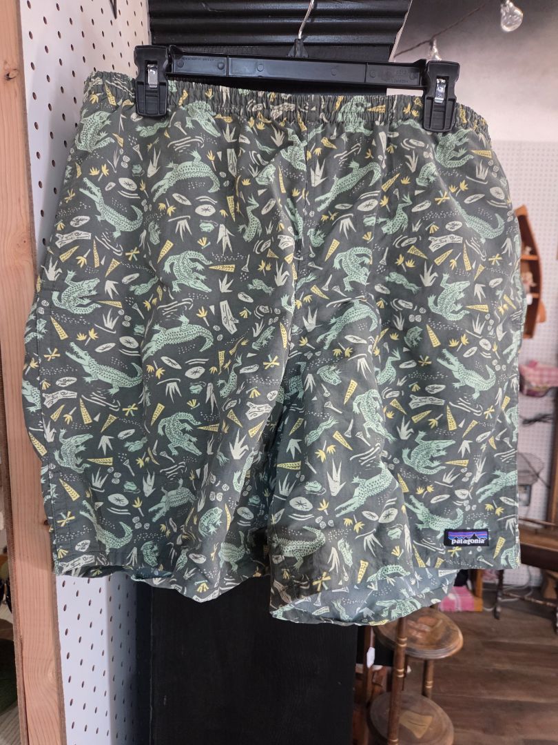 Patagonia Baggie Shorts