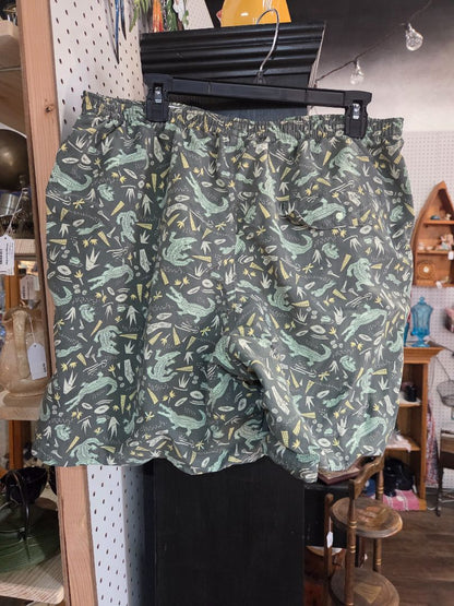 Patagonia Baggie Shorts