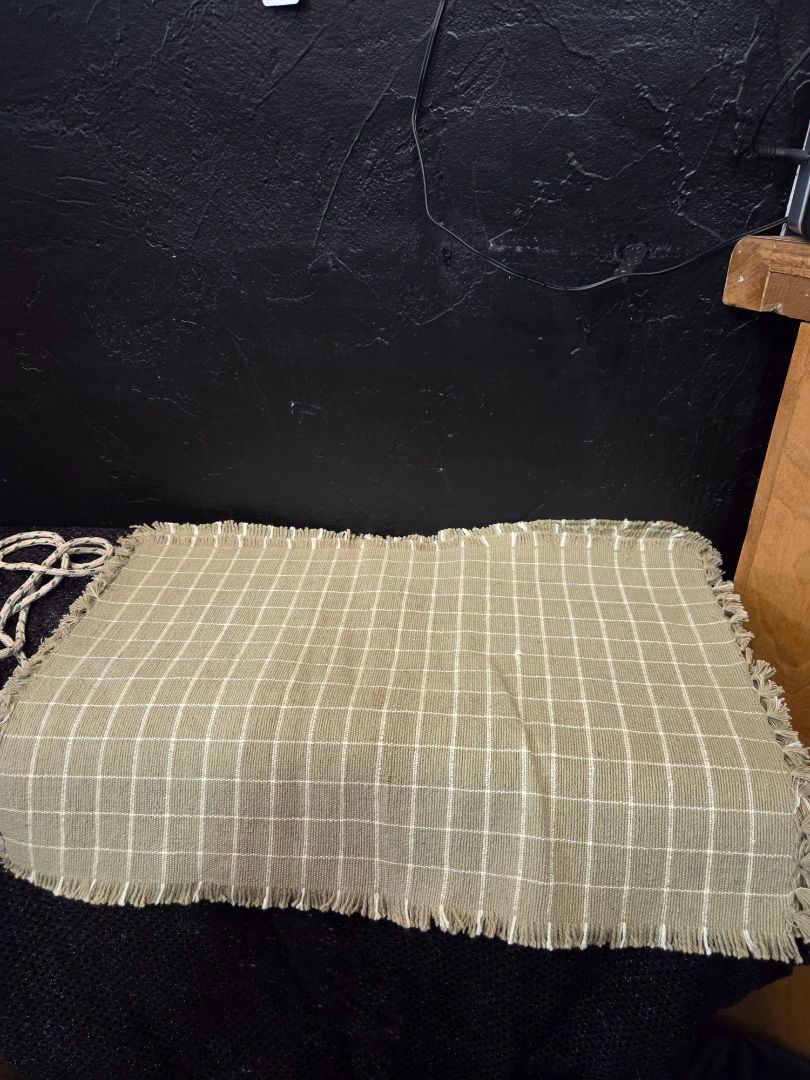 Set of 2 Placemats Green