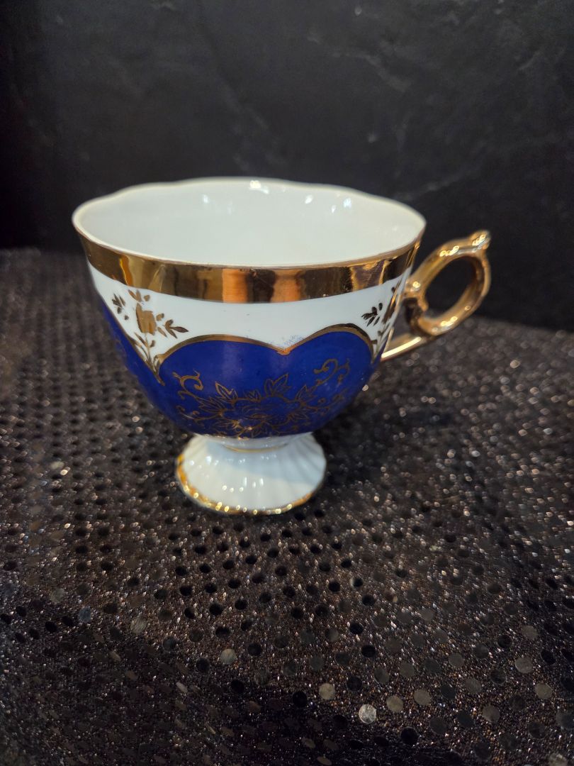 Hand Painted Shafford Tea Cup and Saucer