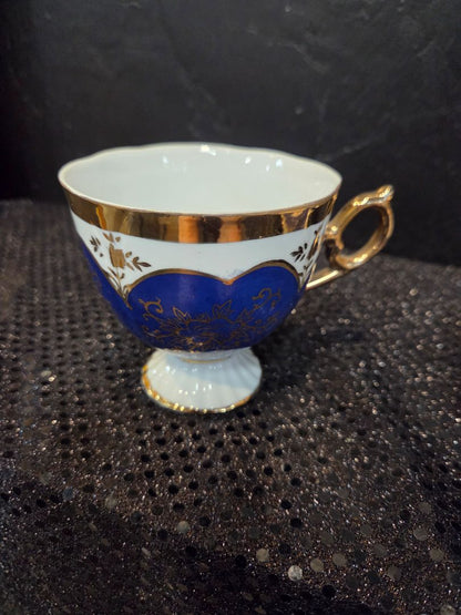 Hand Painted Shafford Tea Cup and Saucer