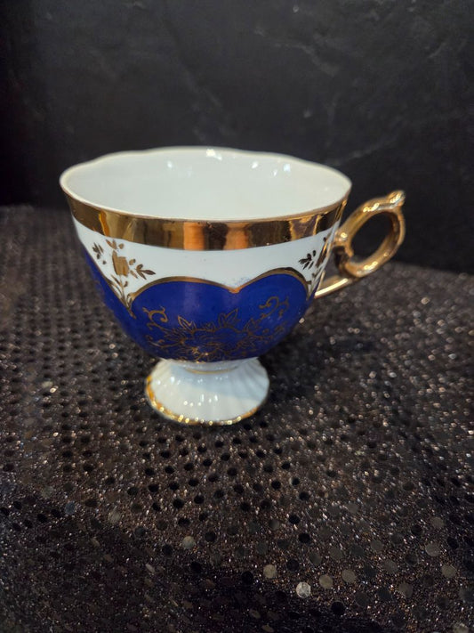 Hand Painted Shafford Tea Cup and Saucer