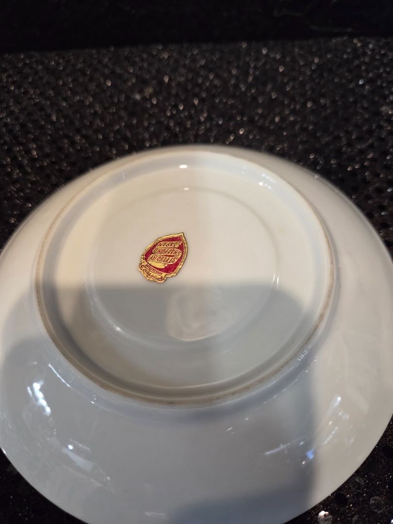Hand Painted Shafford Tea Cup and Saucer