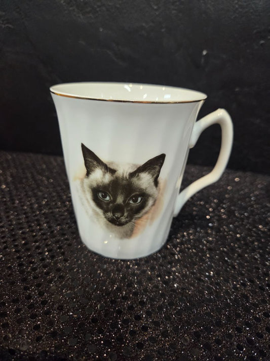 Royal Windsor Siamese Cat Mug Staffordshire
