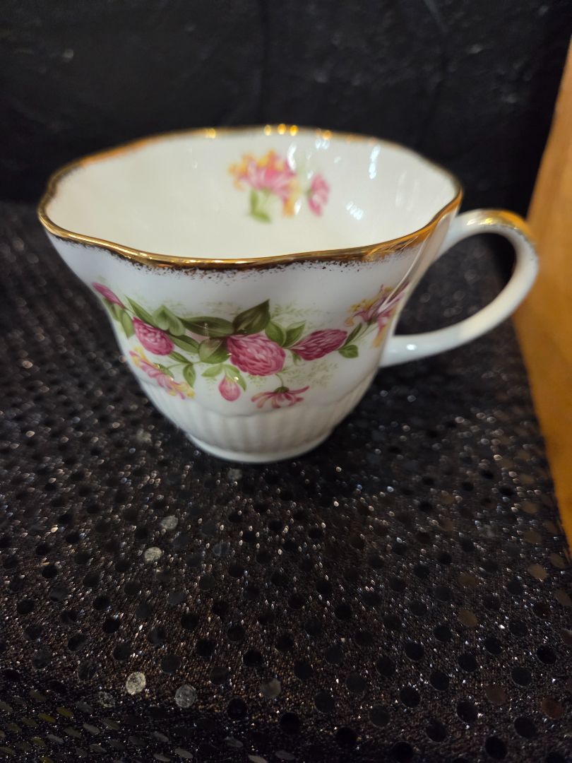 Vintage Royal Dover Fine Bone China Tea Cup & Saucer