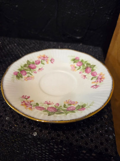 Vintage Royal Dover Fine Bone China Tea Cup & Saucer