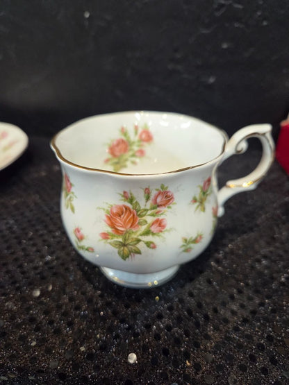 Vintage Queens Teacup & Saucer Countryside Series Pink Moss