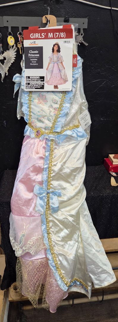 Classic Princess Costume (sz m 7/8)