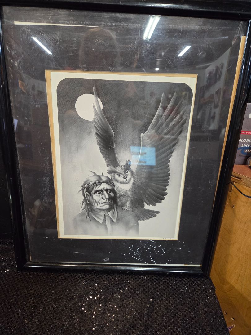Man and Owl Picture