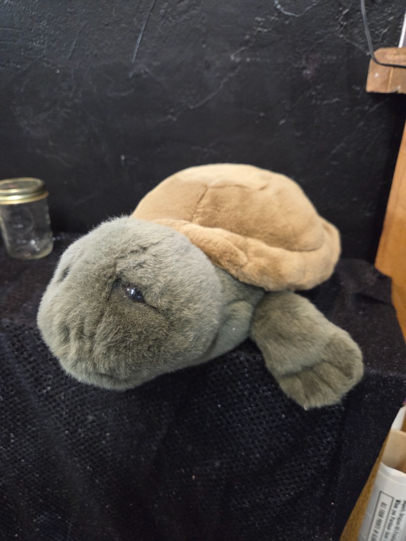 Lou Rakin Slow Poke Turtle Plush