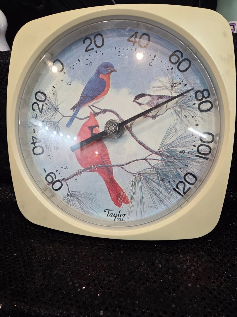 Vintage Sunbeam Outdoor Analog Wall Thermometer Cardinal/Blue Jay
