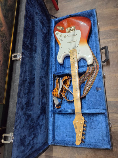 1986 Hohner Professional South Korea 8617826 Case and Access