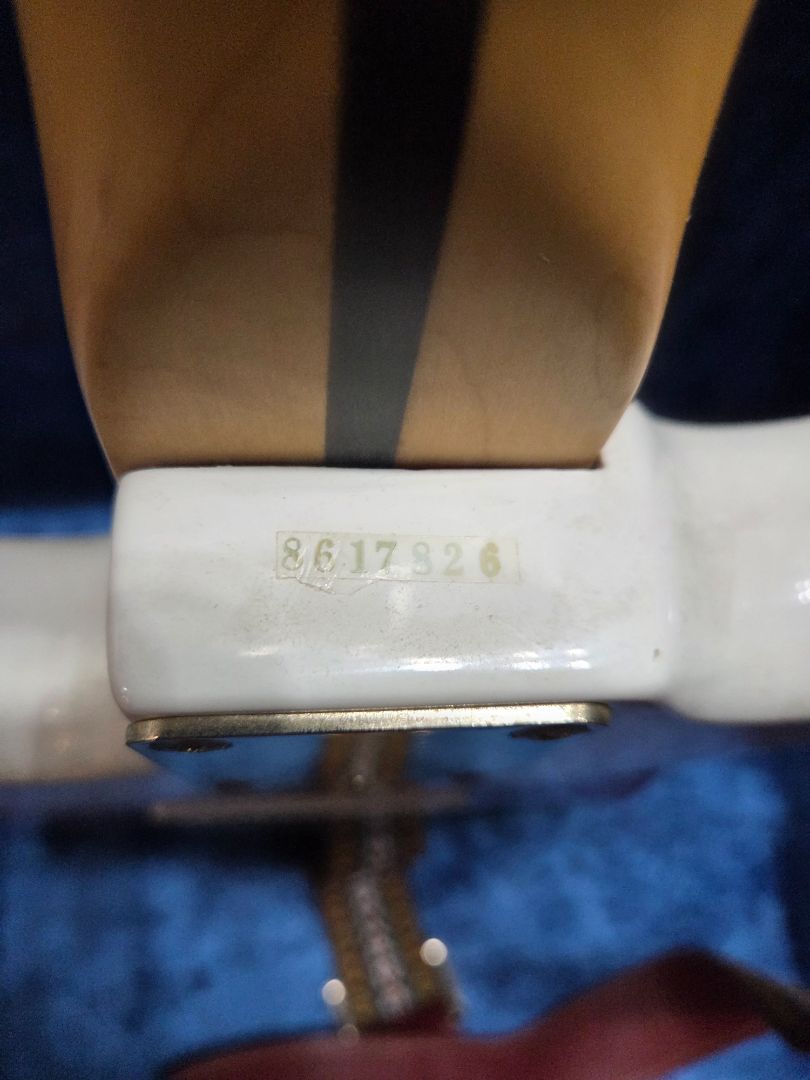 1986 Hohner Professional South Korea 8617826 Case and Access