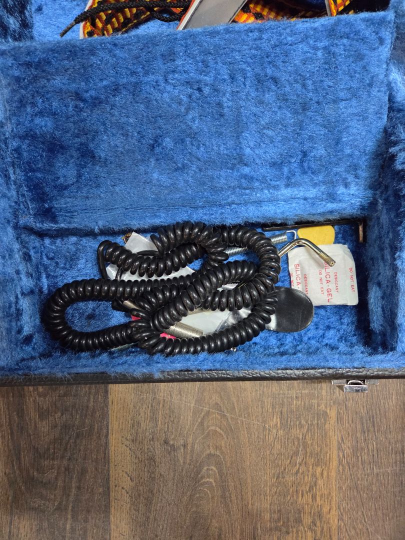 1986 Hohner Professional South Korea 8617826 Case and Access