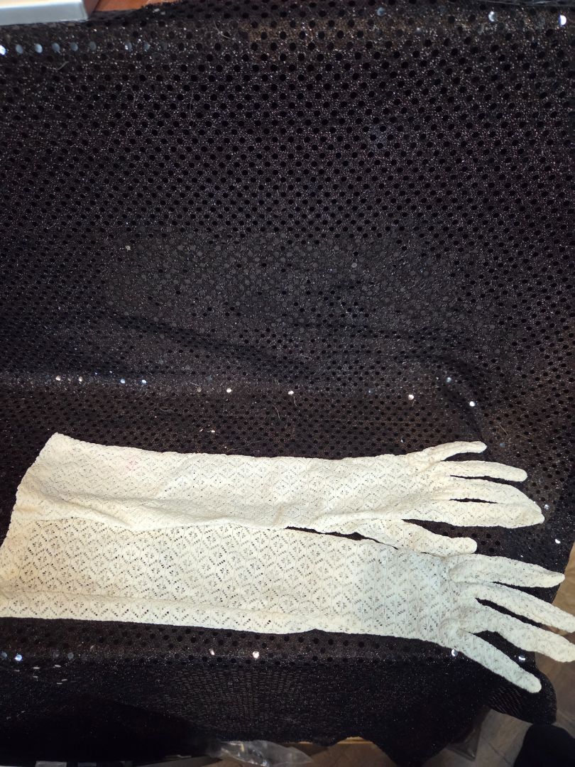 Vintage Van Raalte Lace Gloves