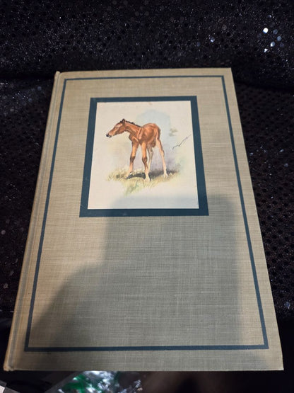 The Red Pony by John Steinbeck 1945