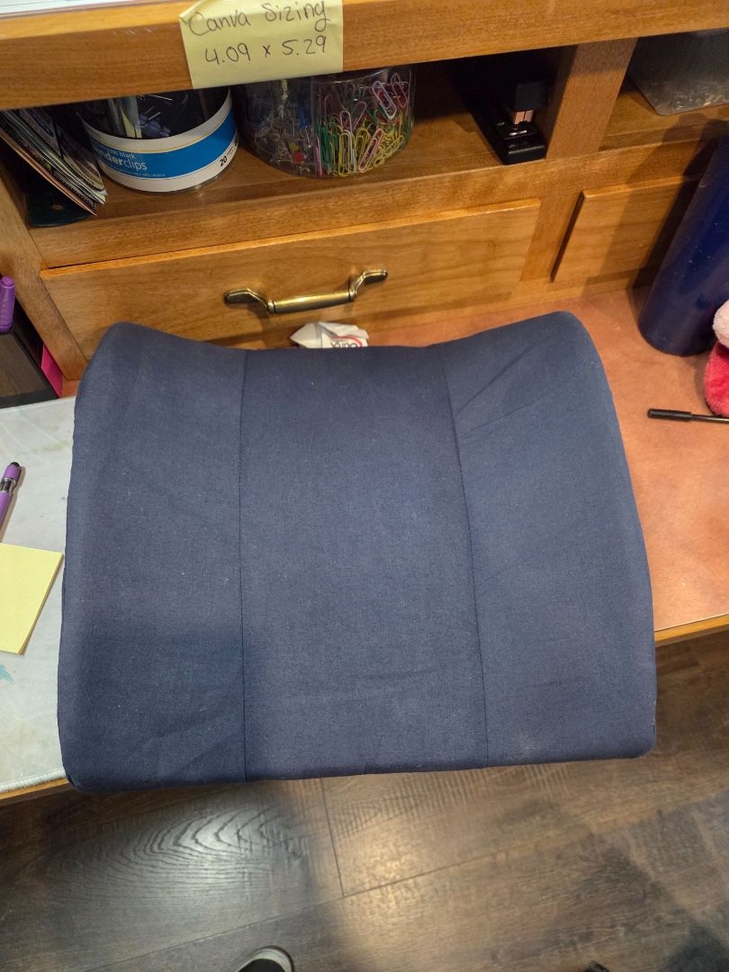 Back Pillow