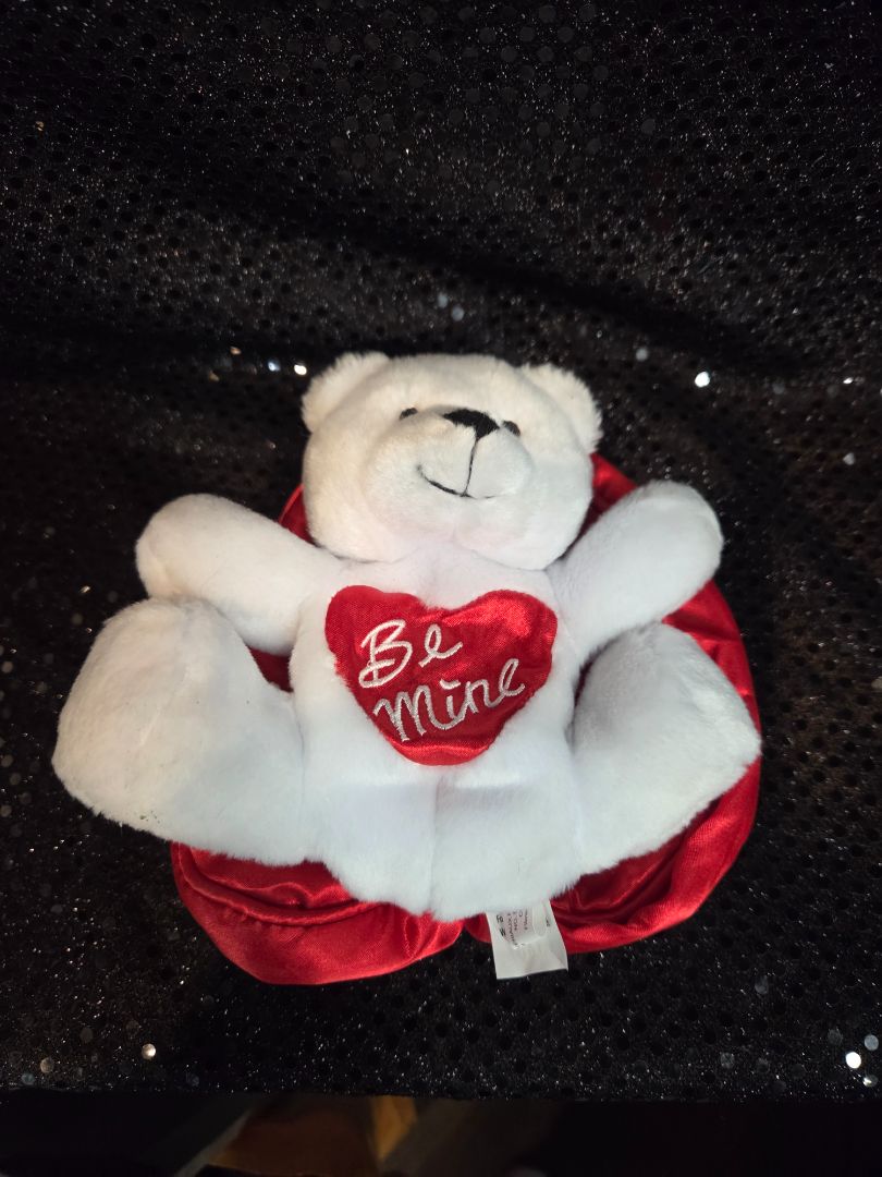 Valentines Day Teddy Bear "Be Mine":